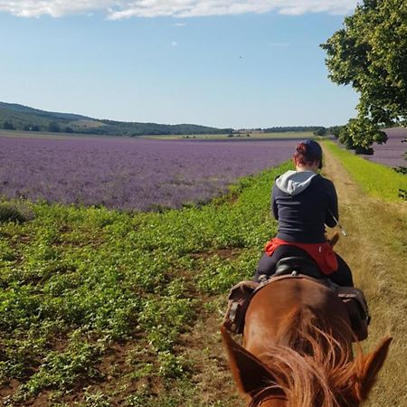 Chambres Entre Ventoux Et Luberon Со-де-Воклюз Экстерьер фото