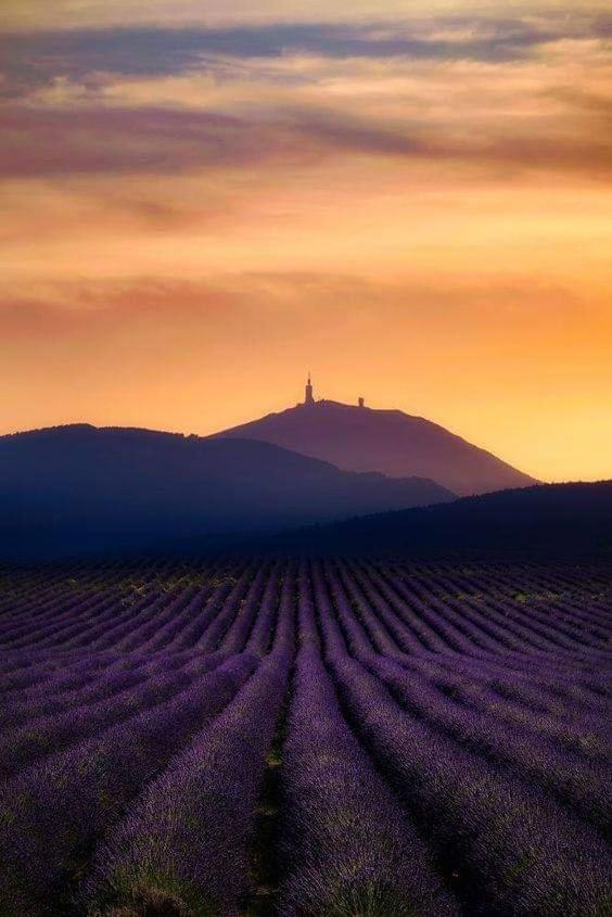 Chambres Entre Ventoux Et Luberon Со-де-Воклюз Экстерьер фото